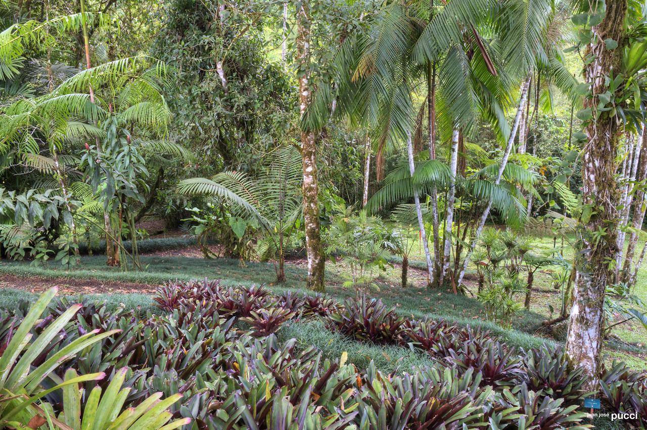 Estacion Biologica Las Cruces Y Jardin Botanico Wilson San Vito Eksteriør billede