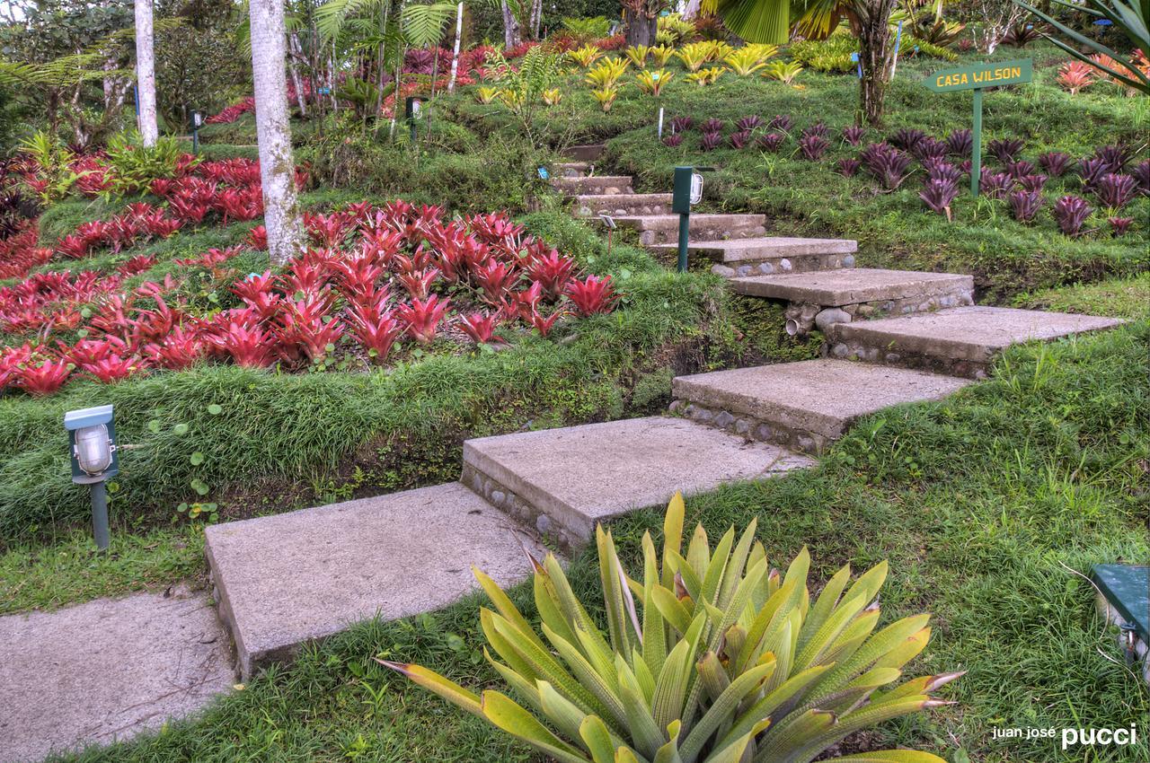 Estacion Biologica Las Cruces Y Jardin Botanico Wilson San Vito Eksteriør billede