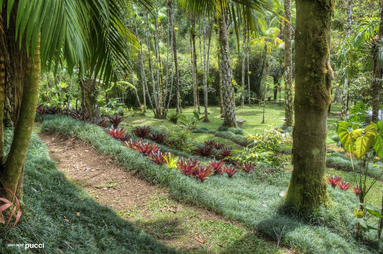 Estacion Biologica Las Cruces Y Jardin Botanico Wilson San Vito Eksteriør billede