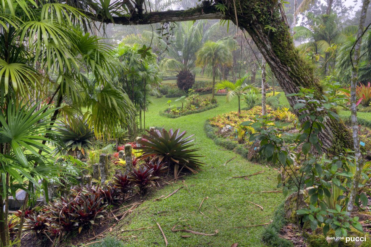Estacion Biologica Las Cruces Y Jardin Botanico Wilson San Vito Eksteriør billede