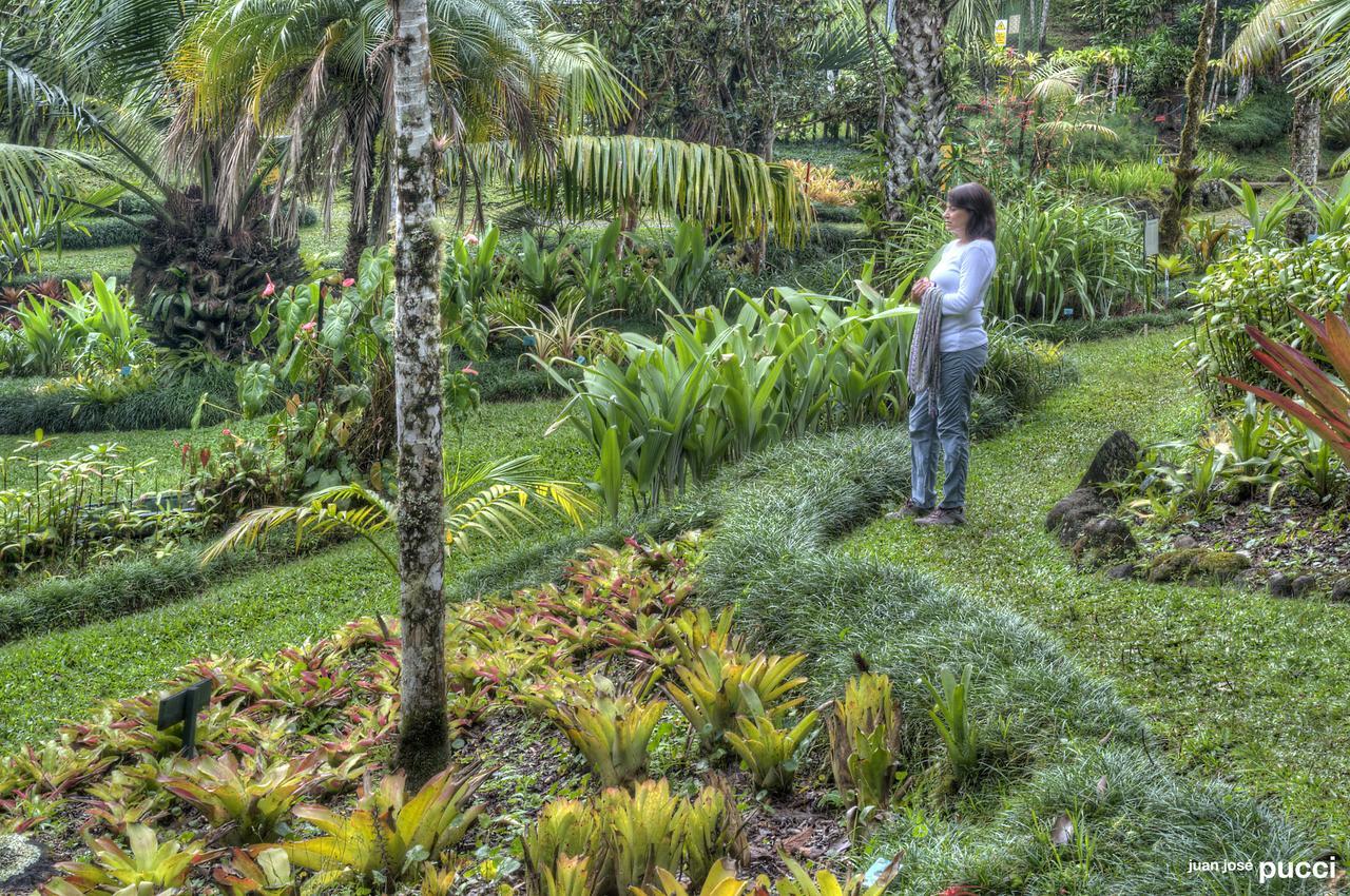 Estacion Biologica Las Cruces Y Jardin Botanico Wilson San Vito Eksteriør billede